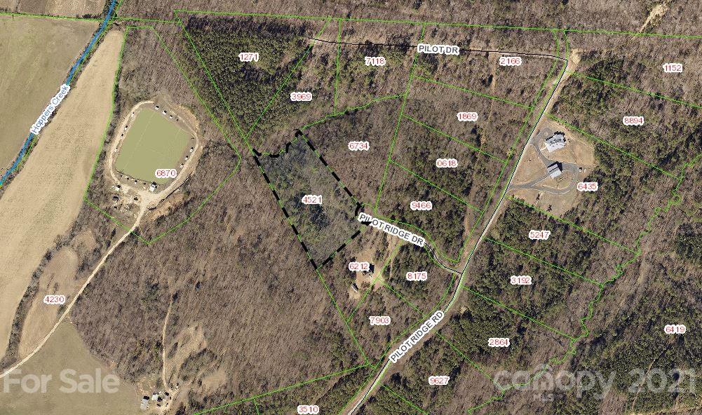 95 Pilot Ridge Road, Unit 21 Nebo, NC 28761 - Photo 2 of 32 a picture of tree