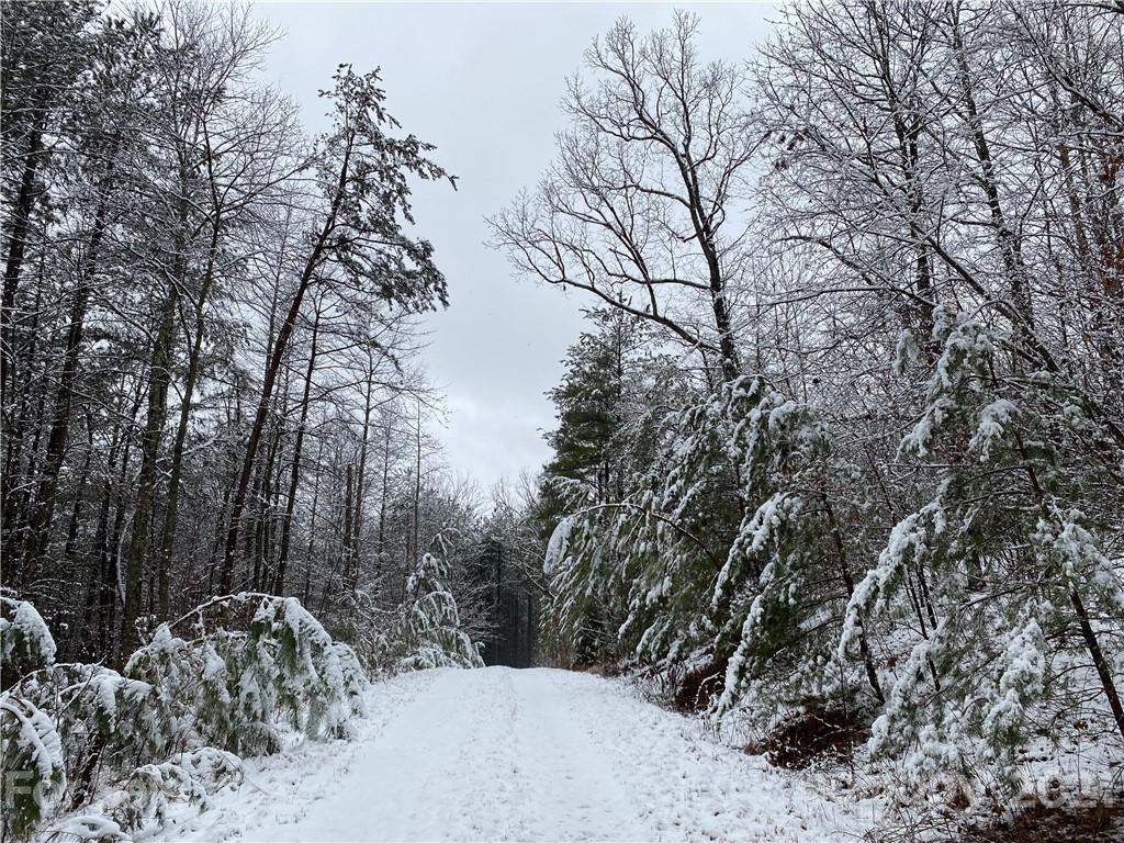 95 Pilot Ridge Road, Unit 21 Nebo, NC 28761 - Photo 28 of 32 a view of a outdoor space with lots of trees