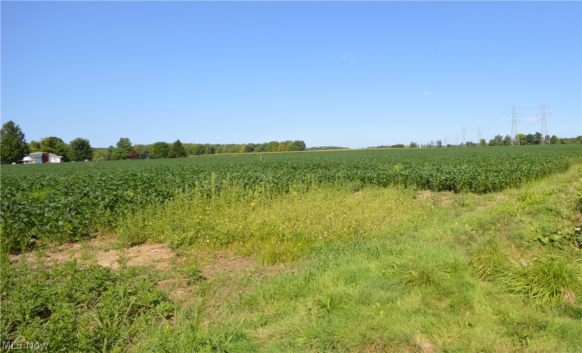 Vl Atkins Road Geneva, OH 44041 - Photo 3 of 8