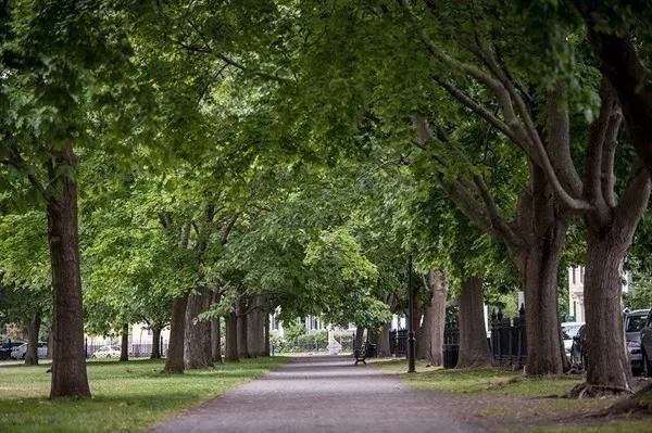 $2,950 | 99 Washington Street, Unit 21, Salem, MA 01970