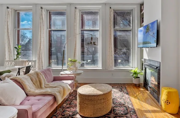 a living room with furniture and a potted plant