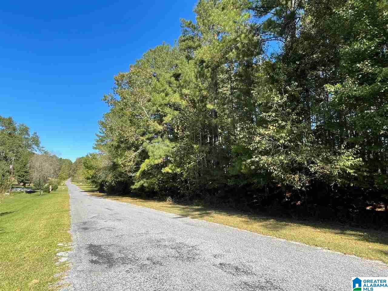 Blair Road, Unit 3 99 Ashland, AL 36251 - Photo 2 of 6