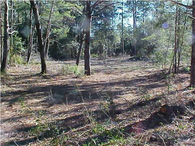 8 Mccloud Road Freeport, FL 32439 - Photo 3 of 5 Gallery Image 3