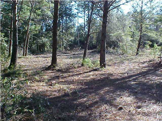 8 Mccloud Road Freeport, FL 32439 - Photo 4 of 5 Gallery Image 4