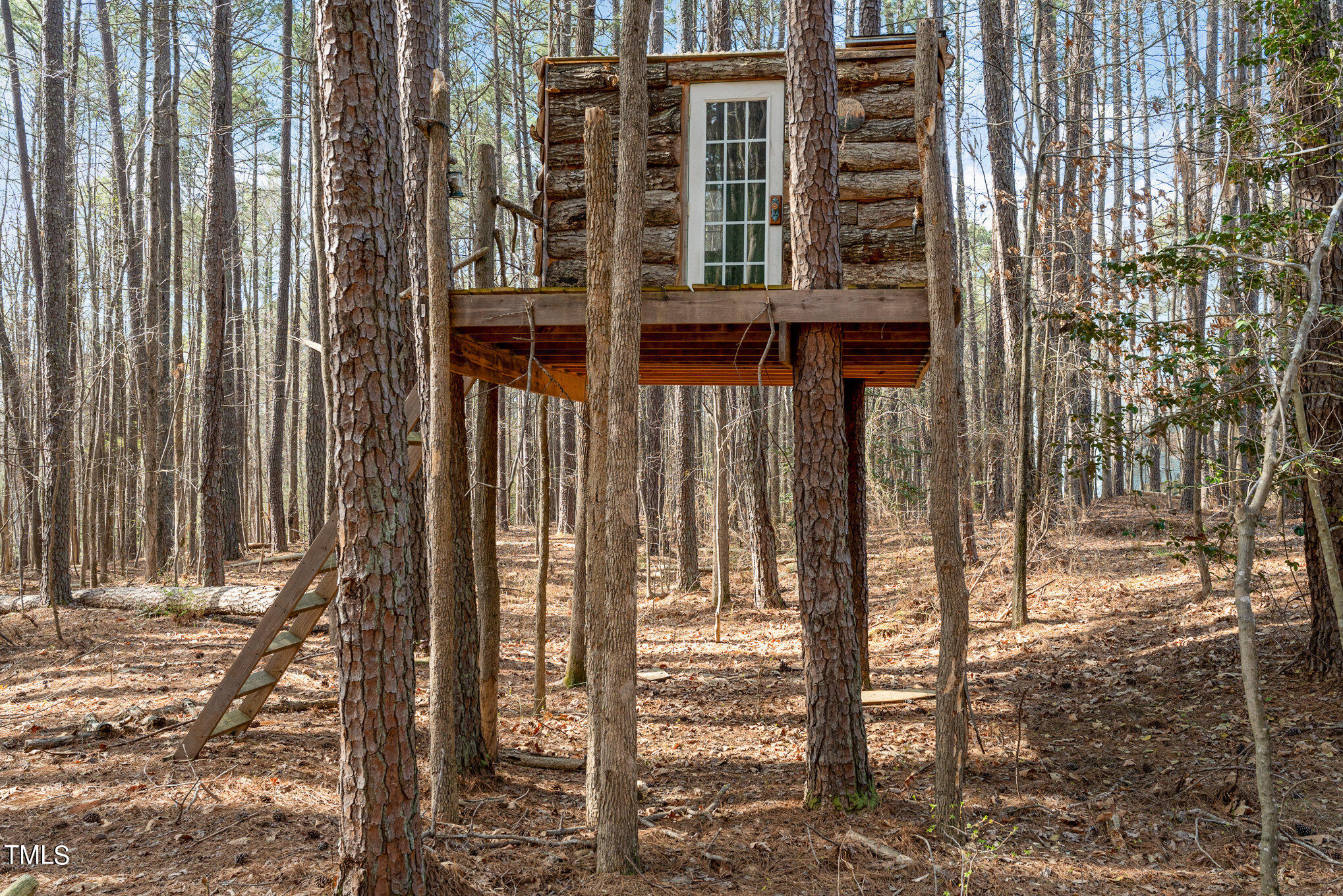 8404 Smith Road Apex, NC 27539 - Photo 17 of 19 Wooded tree house for so much fun!