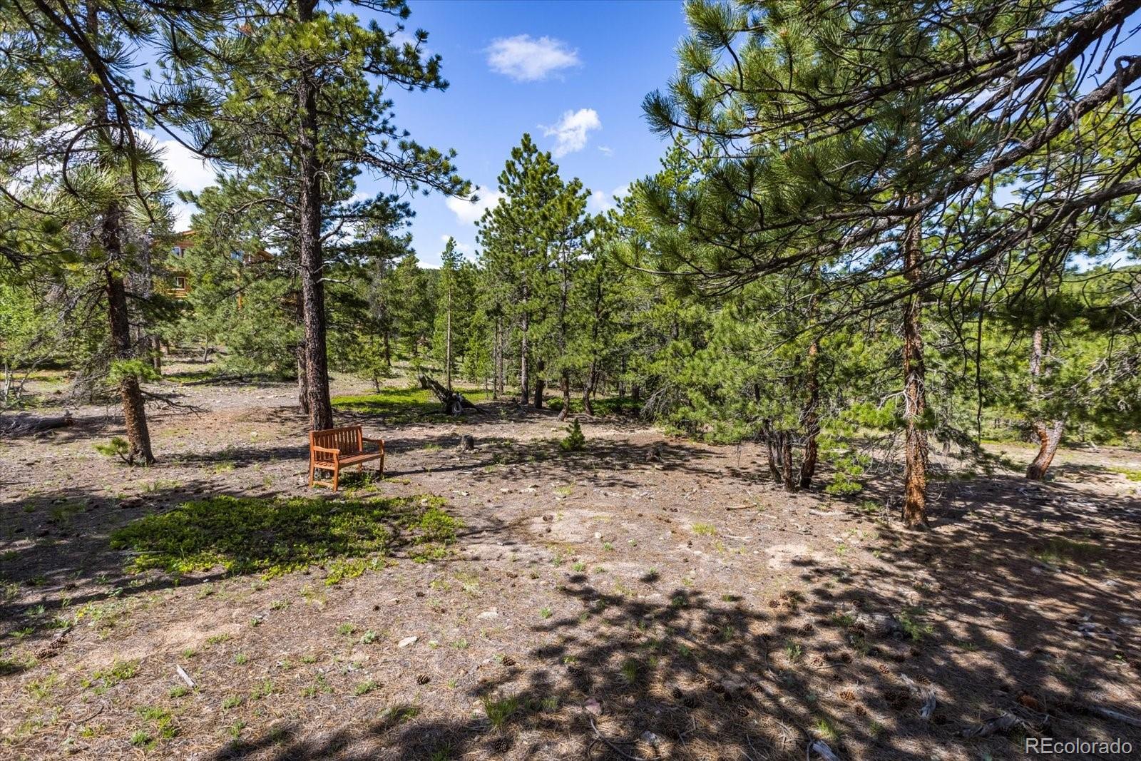 -tbd Crescent Lake Road Golden, CO 80403 - Photo 13 of 16 a view of a tree in a yard