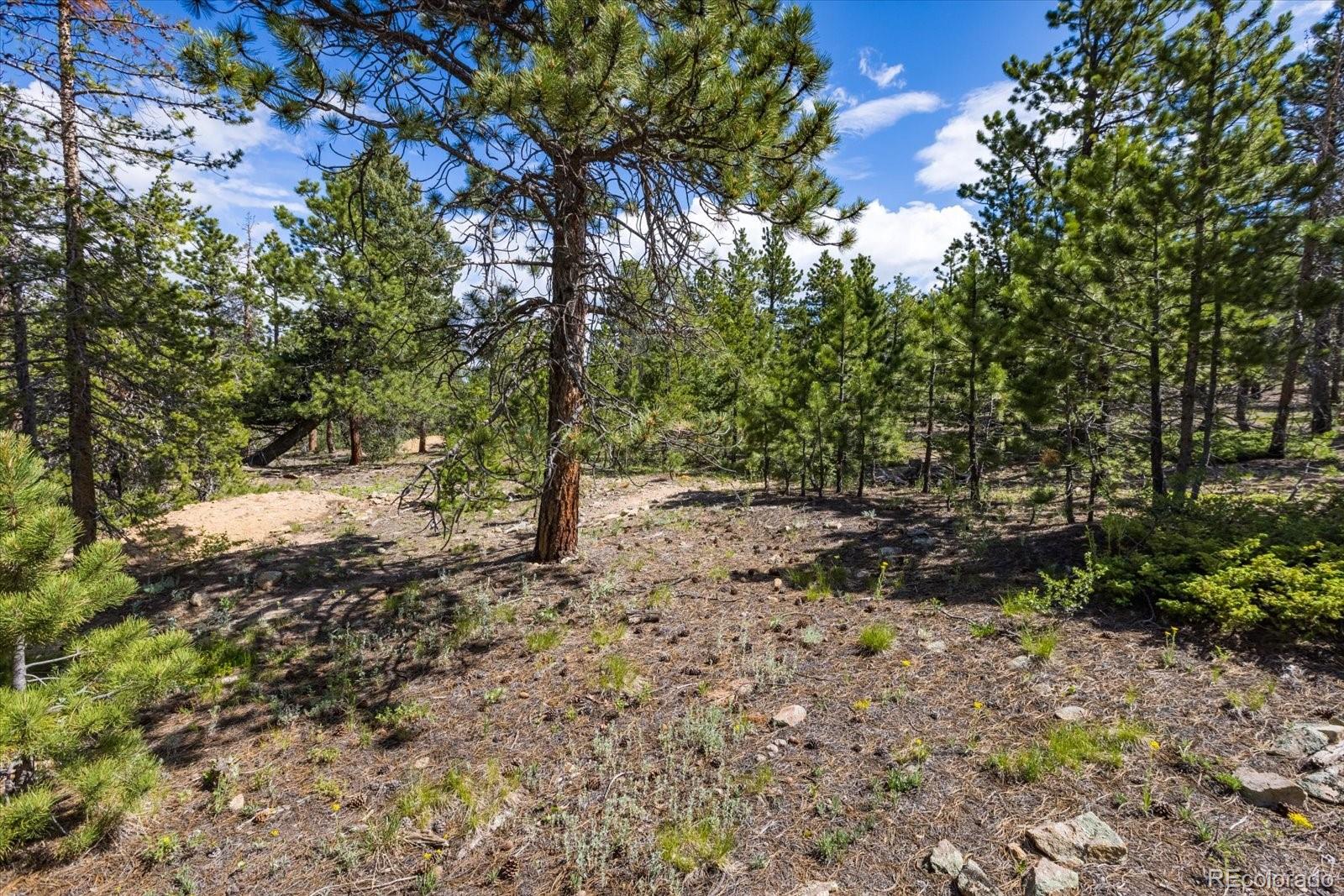 -tbd Crescent Lake Road Golden, CO 80403 - Photo 10 of 16 a view of a yard with plants and trees