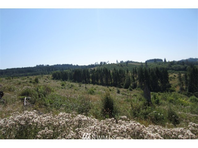27 Silver Ridge Castle Rock, WA 98611 - Photo 1 of 1 Gallery Image 1