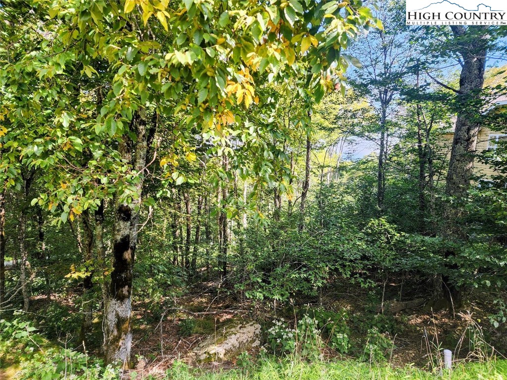 1060 Charter Hills Road Beech Mountain, NC 28604 - Photo 2 of 3 a view of a tree