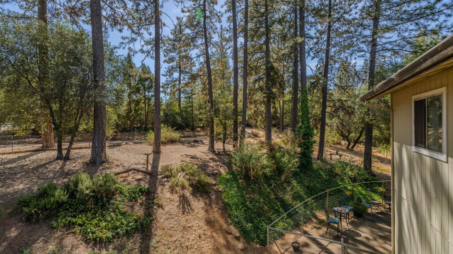 17000 Shake Ridge Road Sutter Creek, CA 95685 - Photo 60 of 61 Gallery Image 60