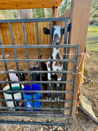 $69,000 | 9901 Franks Road, Moss Point, MS 39562