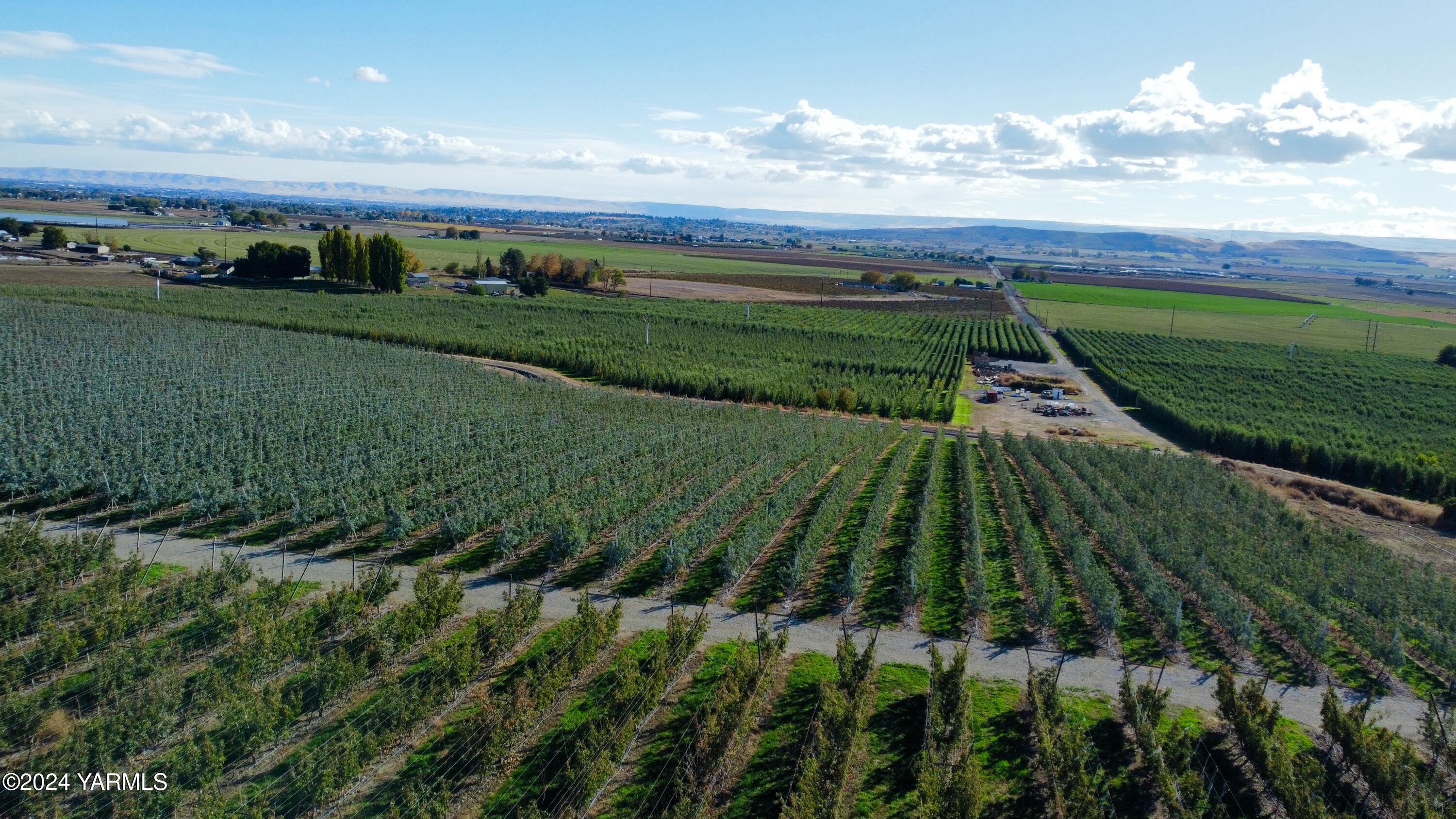 1870 Phipps Road Sunnyside, WA 98944 - Photo 12 of 15 4b