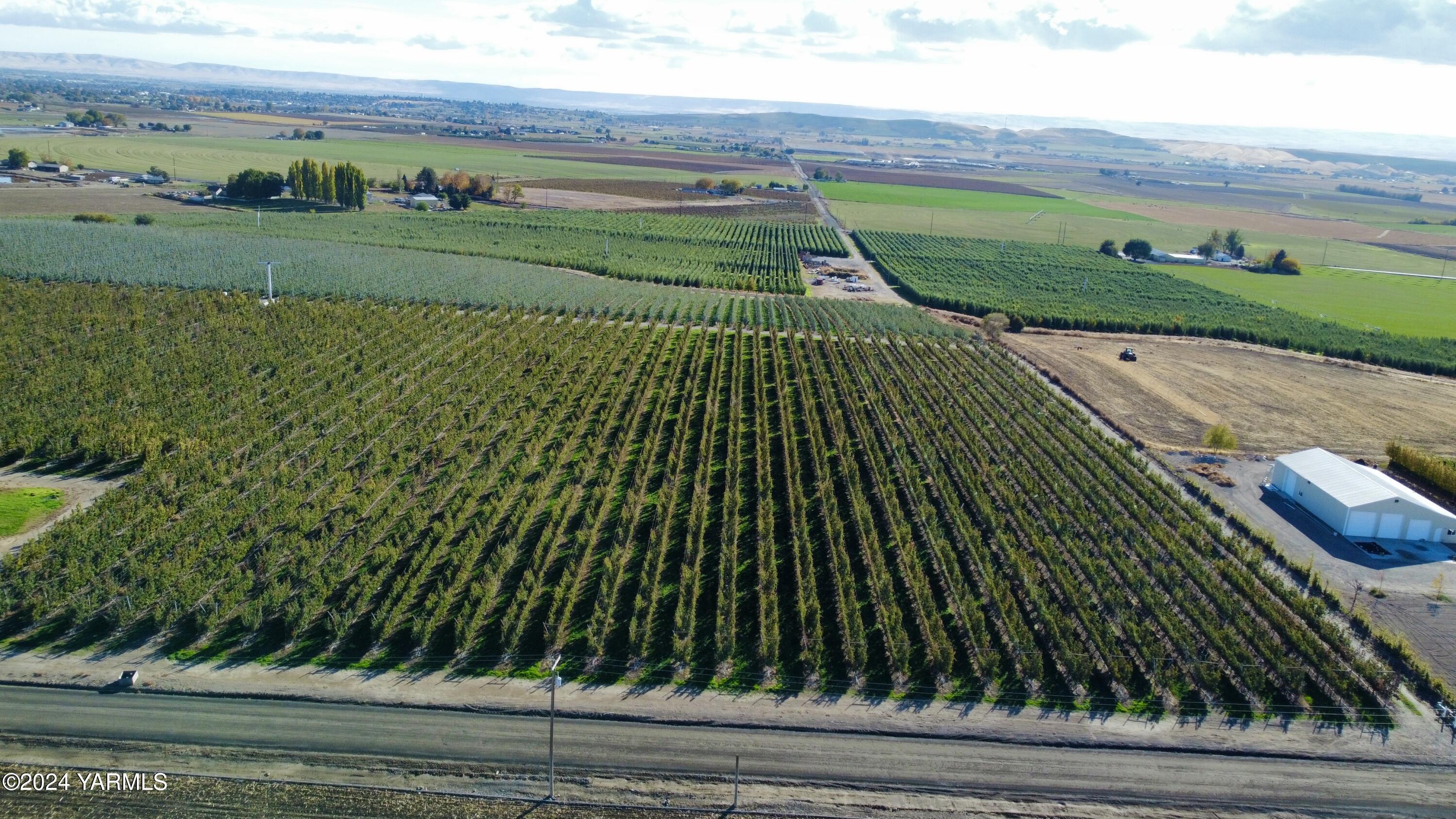 1870 Phipps Road Sunnyside, WA 98944 - Photo 13 of 15 4c