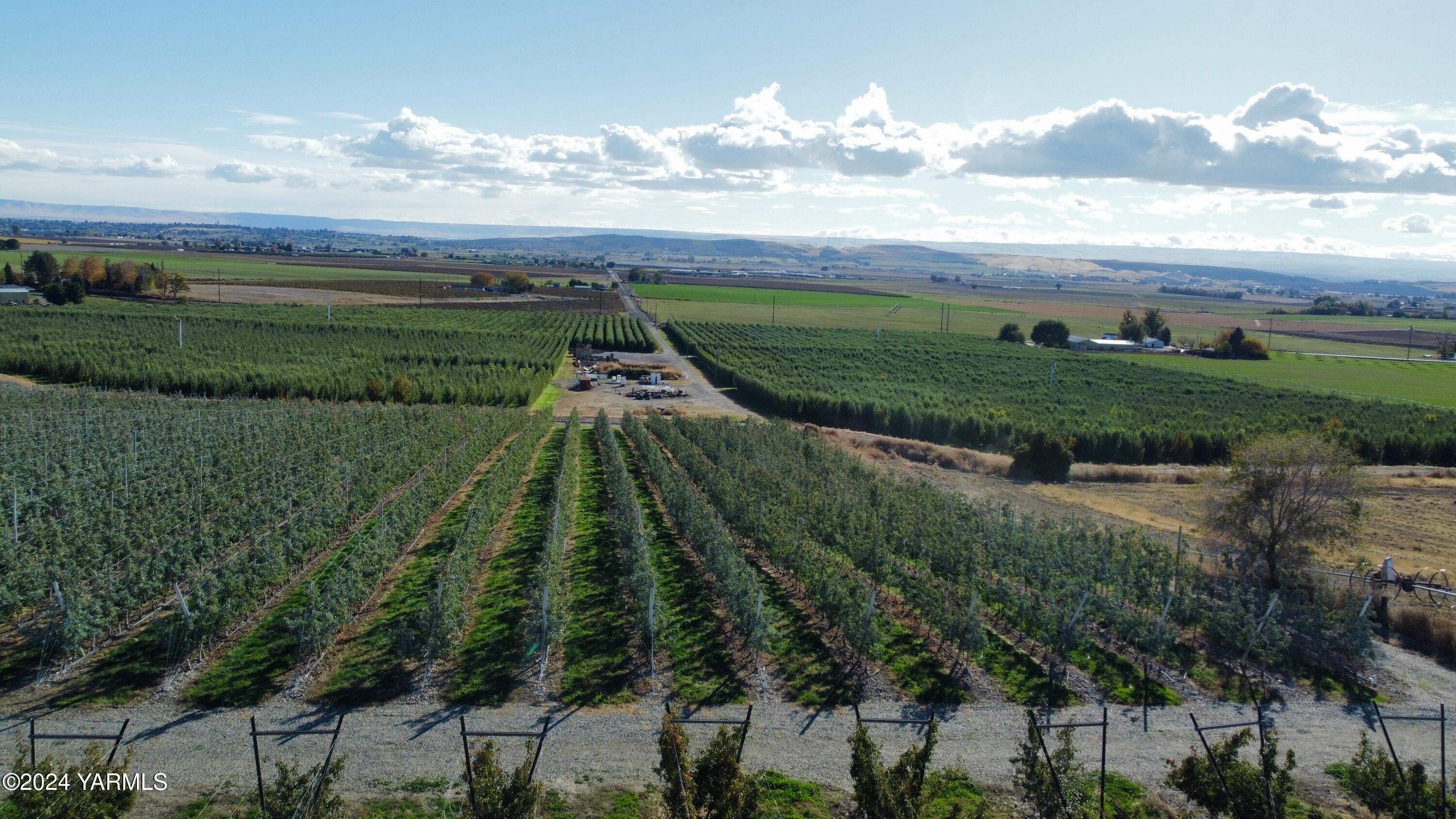 1870 Phipps Road Sunnyside, WA 98944 - Photo 14 of 15 4d