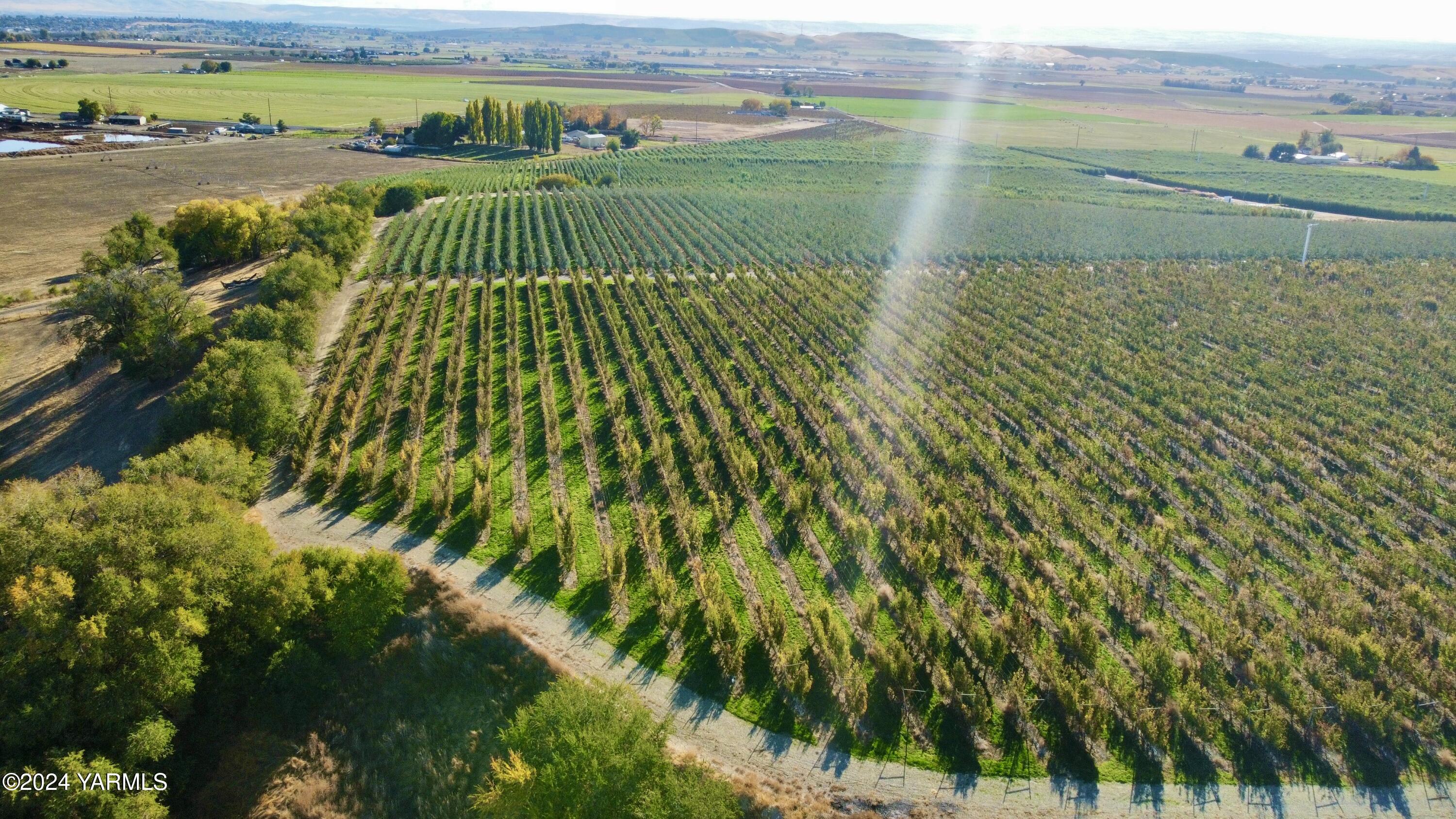 1870 Phipps Road Sunnyside, WA 98944 - Photo 2 of 15 1