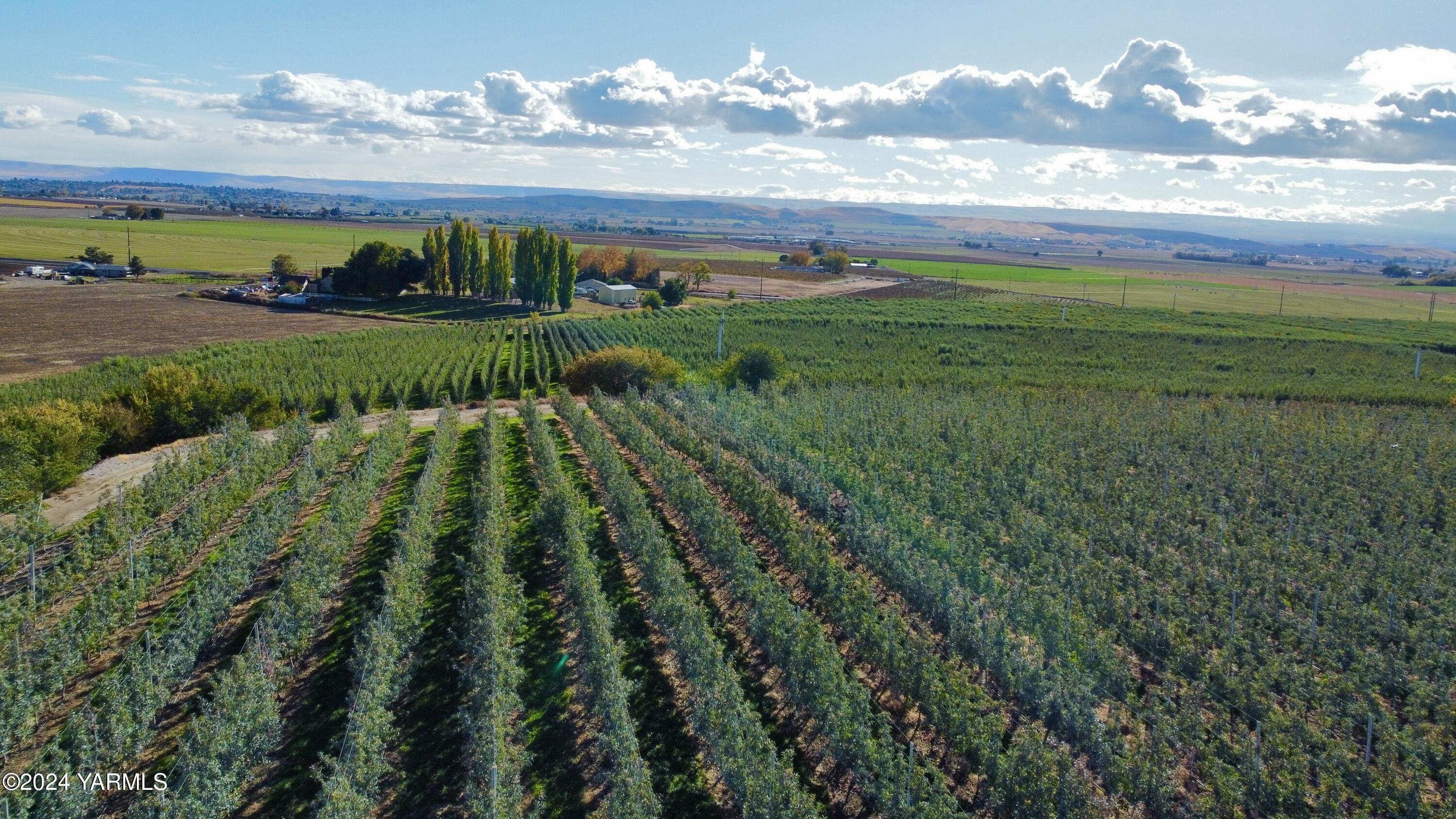 1870 Phipps Road Sunnyside, WA 98944 - Photo 4 of 15 1c