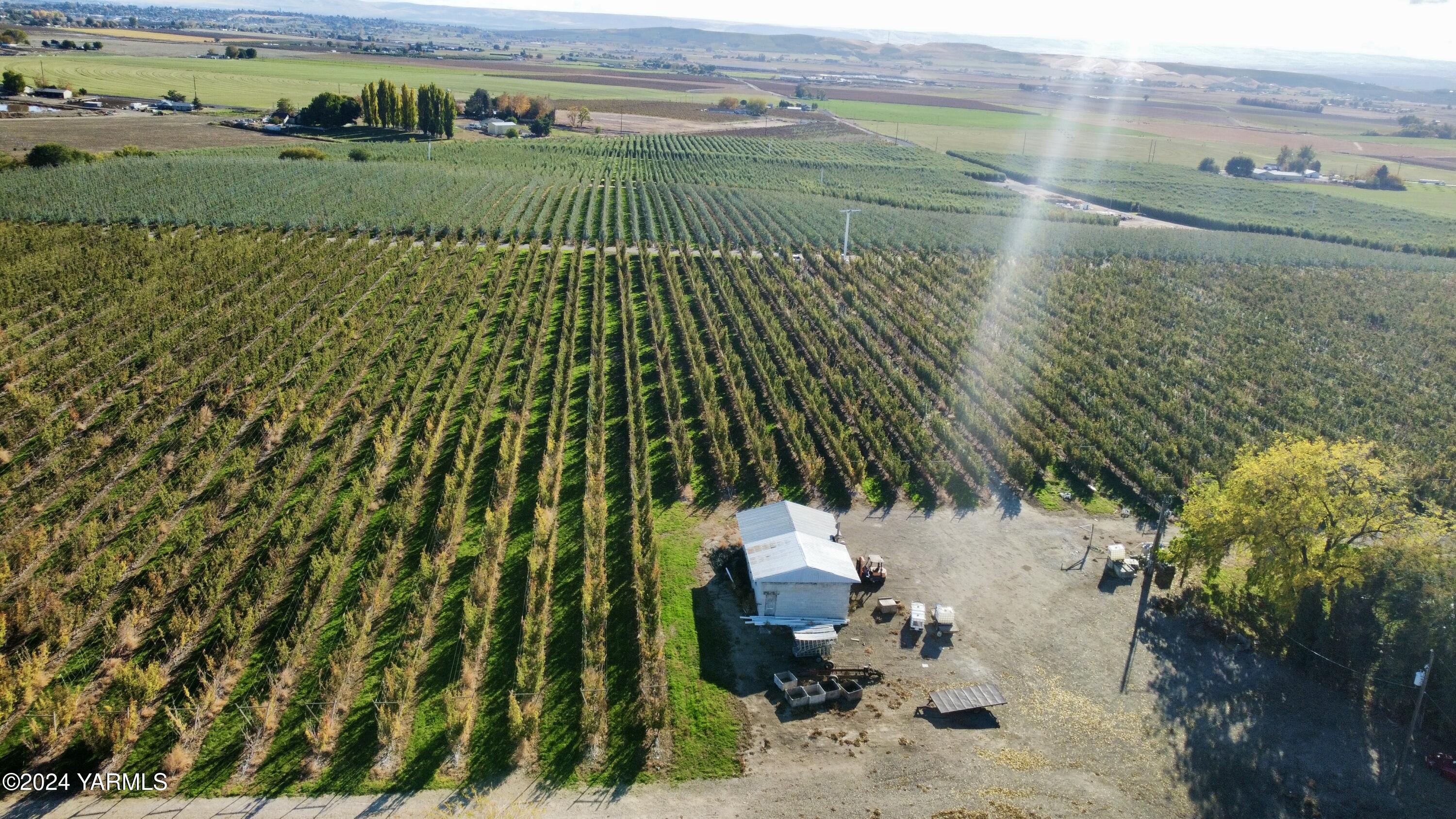 1870 Phipps Road Sunnyside, WA 98944 - Photo 5 of 15 2