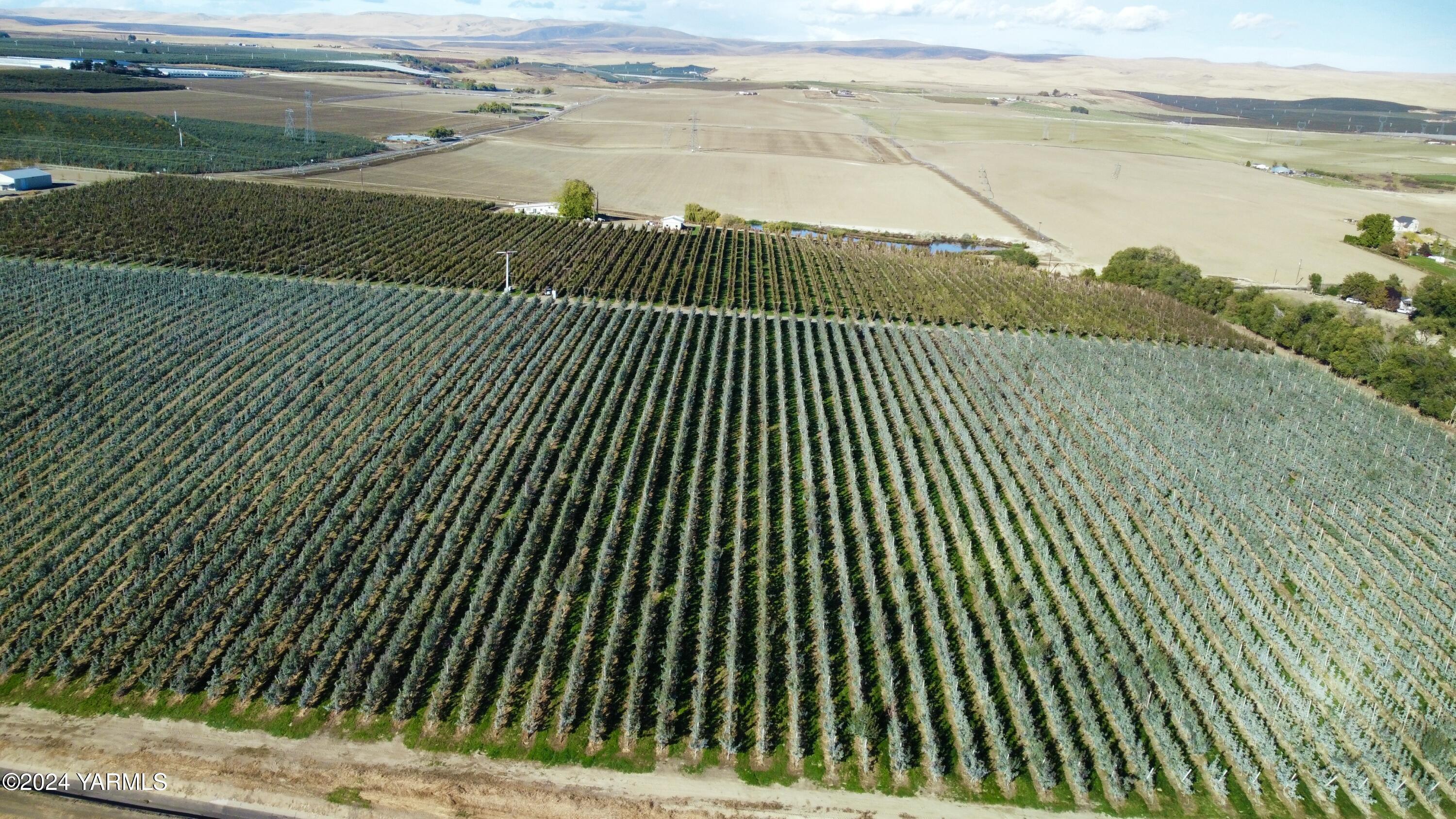 1870 Phipps Road Sunnyside, WA 98944 - Photo 6 of 15 2a