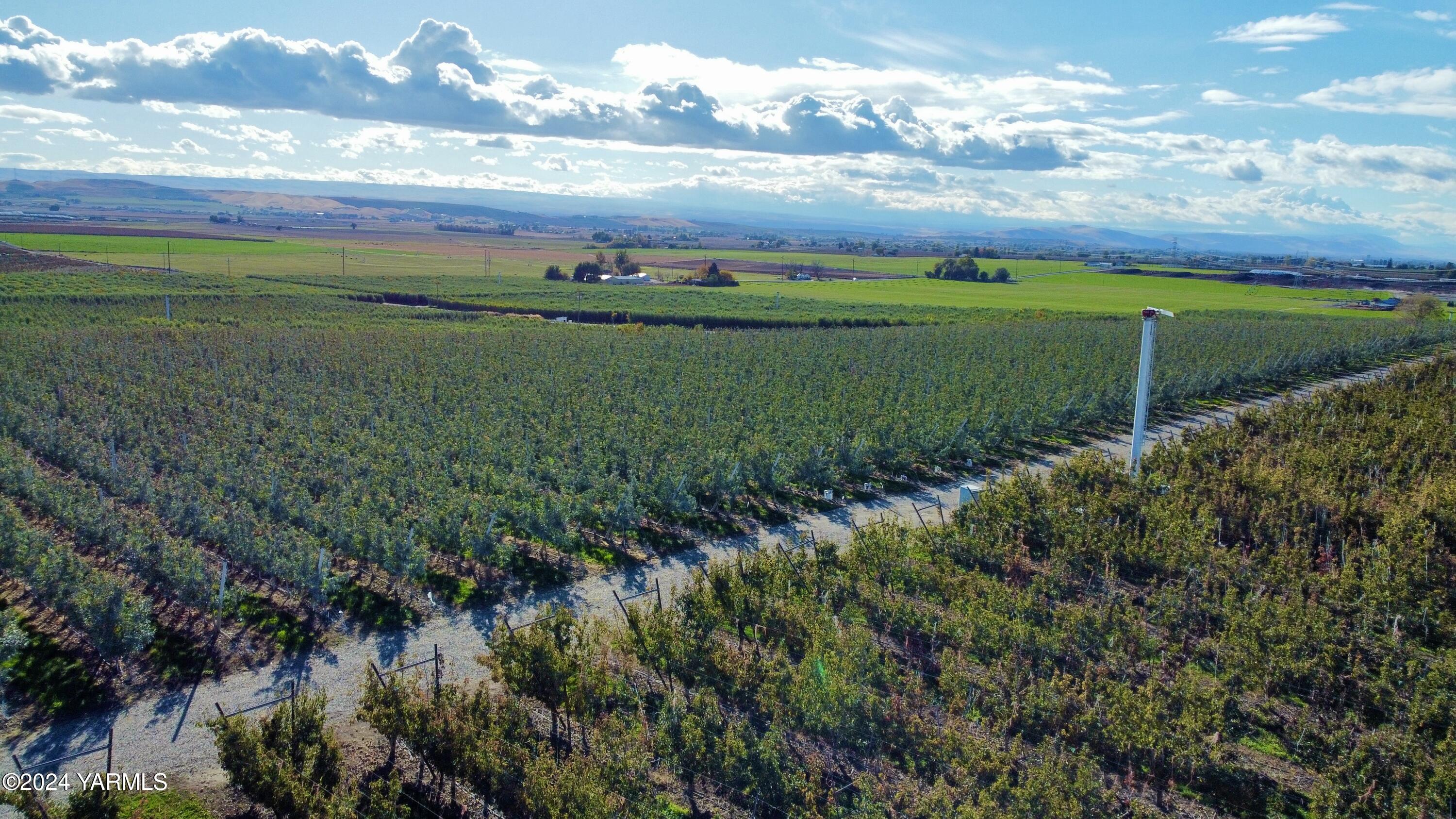 1870 Phipps Road Sunnyside, WA 98944 - Photo 7 of 15 2c