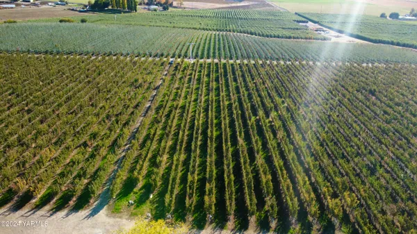 a view of lake from balcony