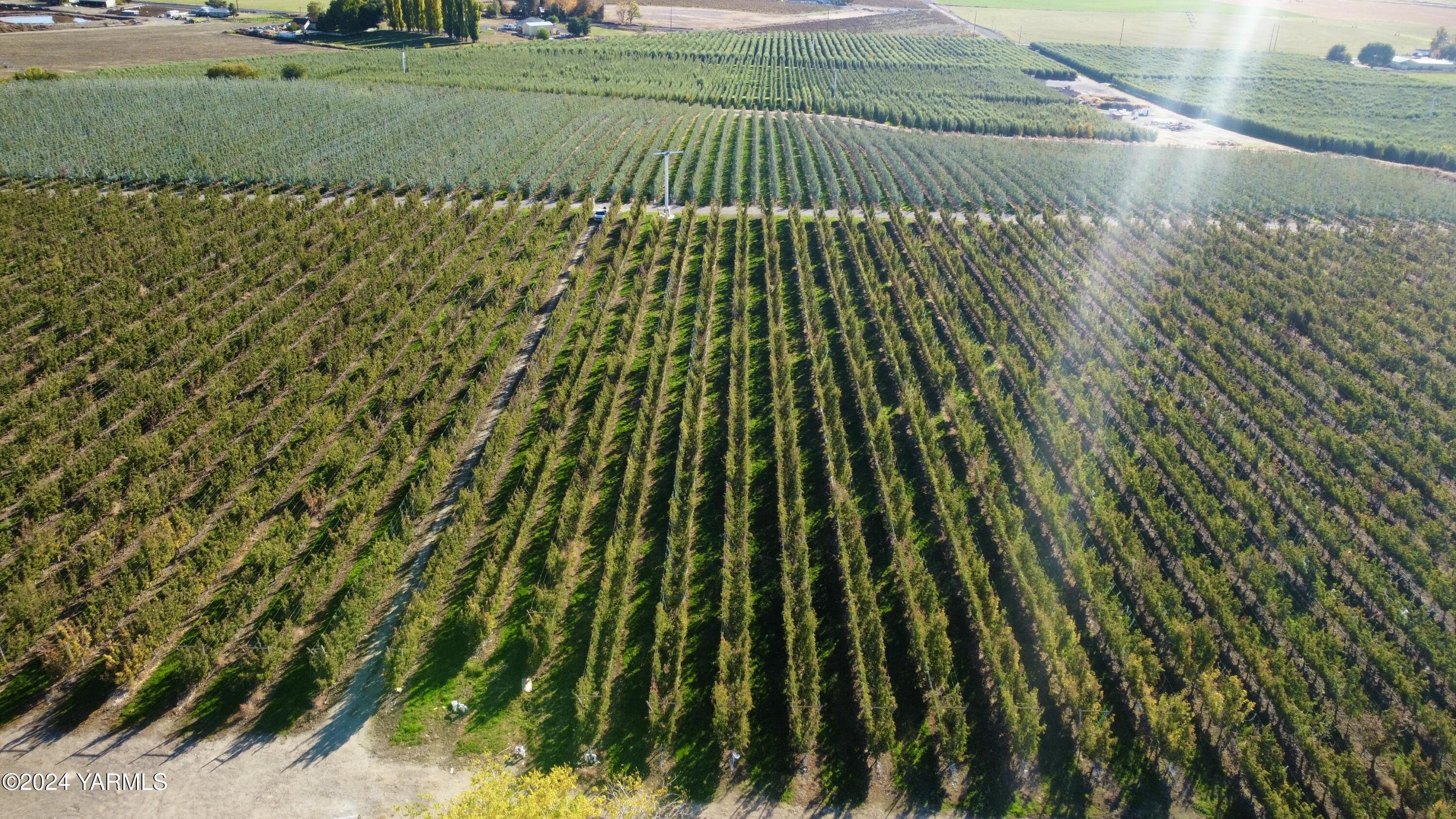 1870 Phipps Road Sunnyside, WA 98944 - Photo 8 of 15 3