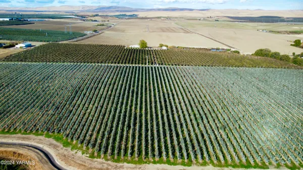 a view of a yard with an ocean