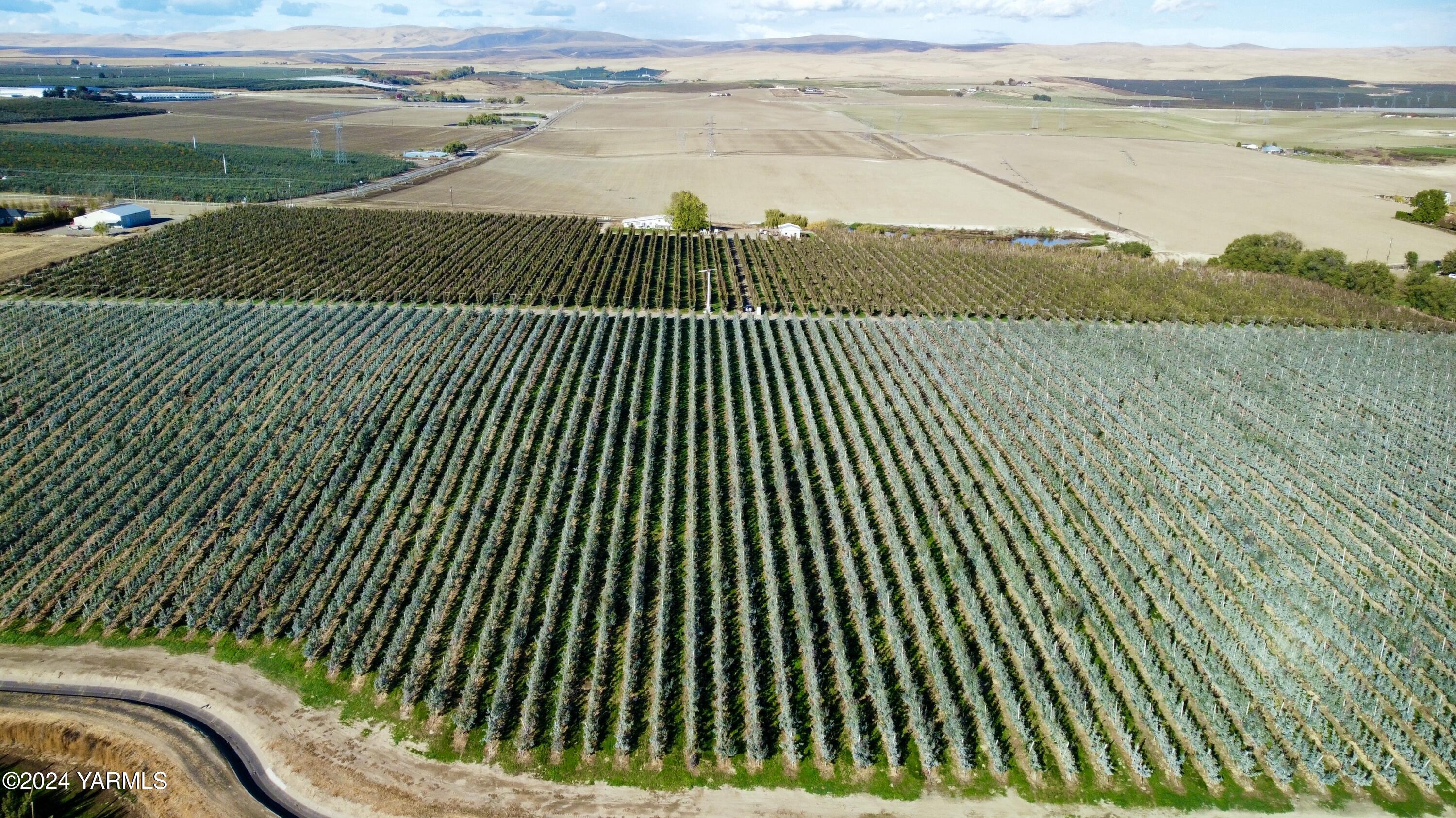 1870 Phipps Road Sunnyside, WA 98944 - Photo 9 of 15 3a