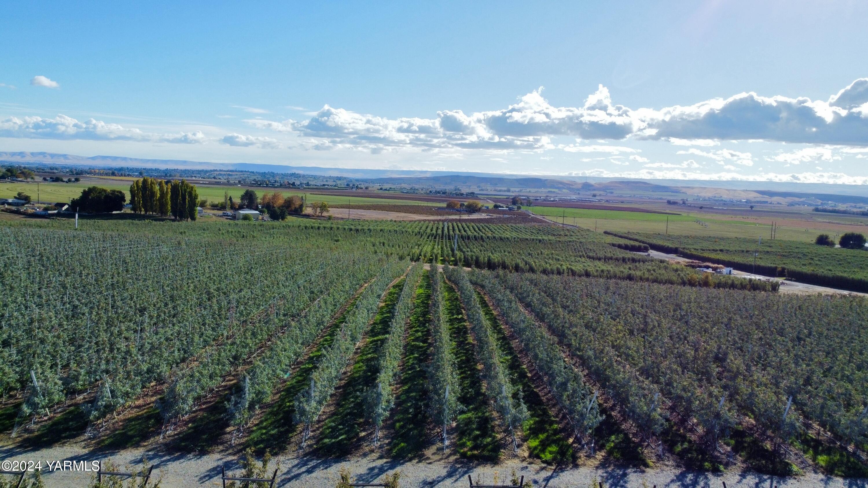 1870 Phipps Road Sunnyside, WA 98944 - Photo 10 of 15 3c