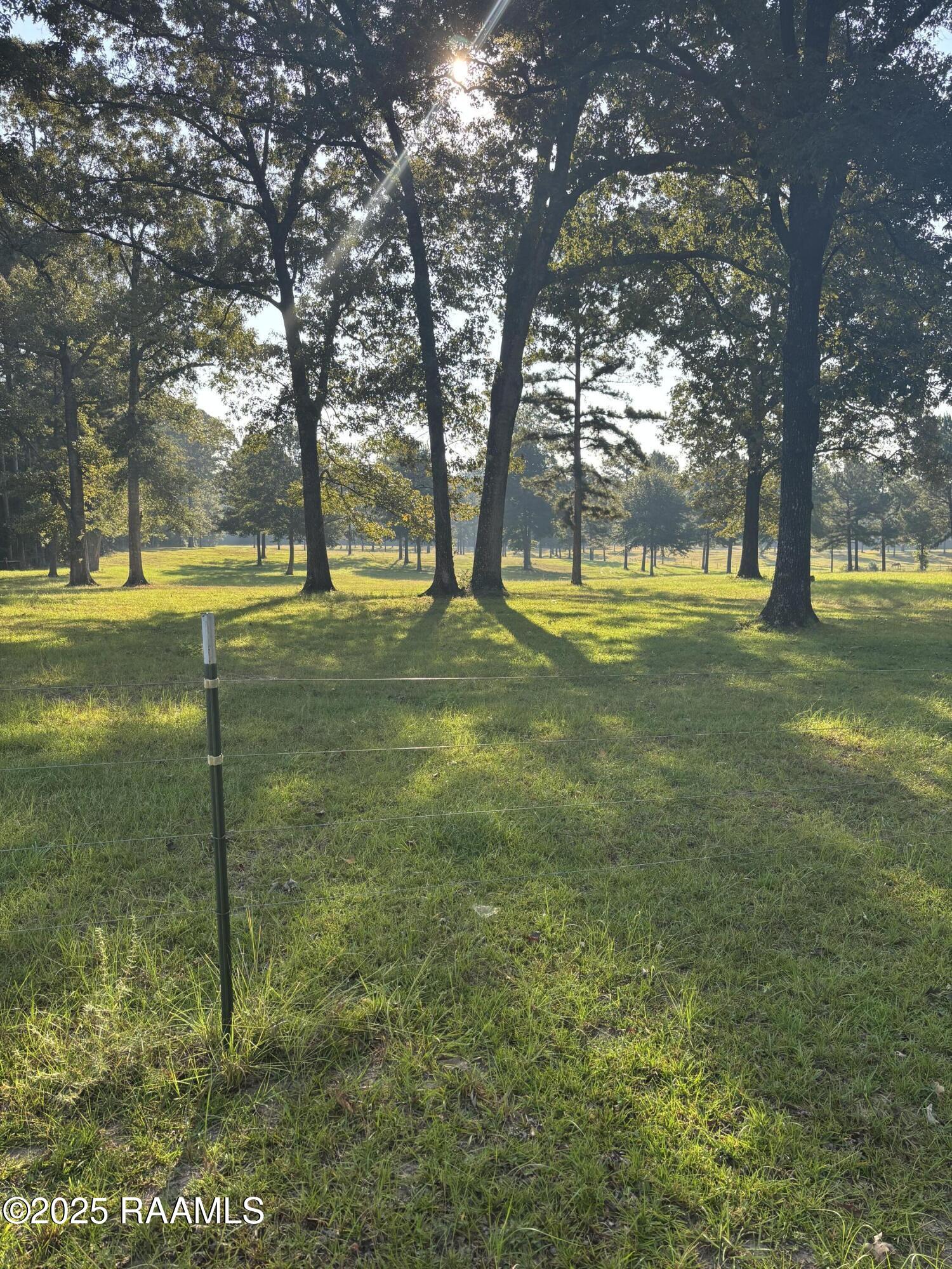 399 Ahtus Melder Road Forest Hill, LA 71430 - Photo 17 of 19