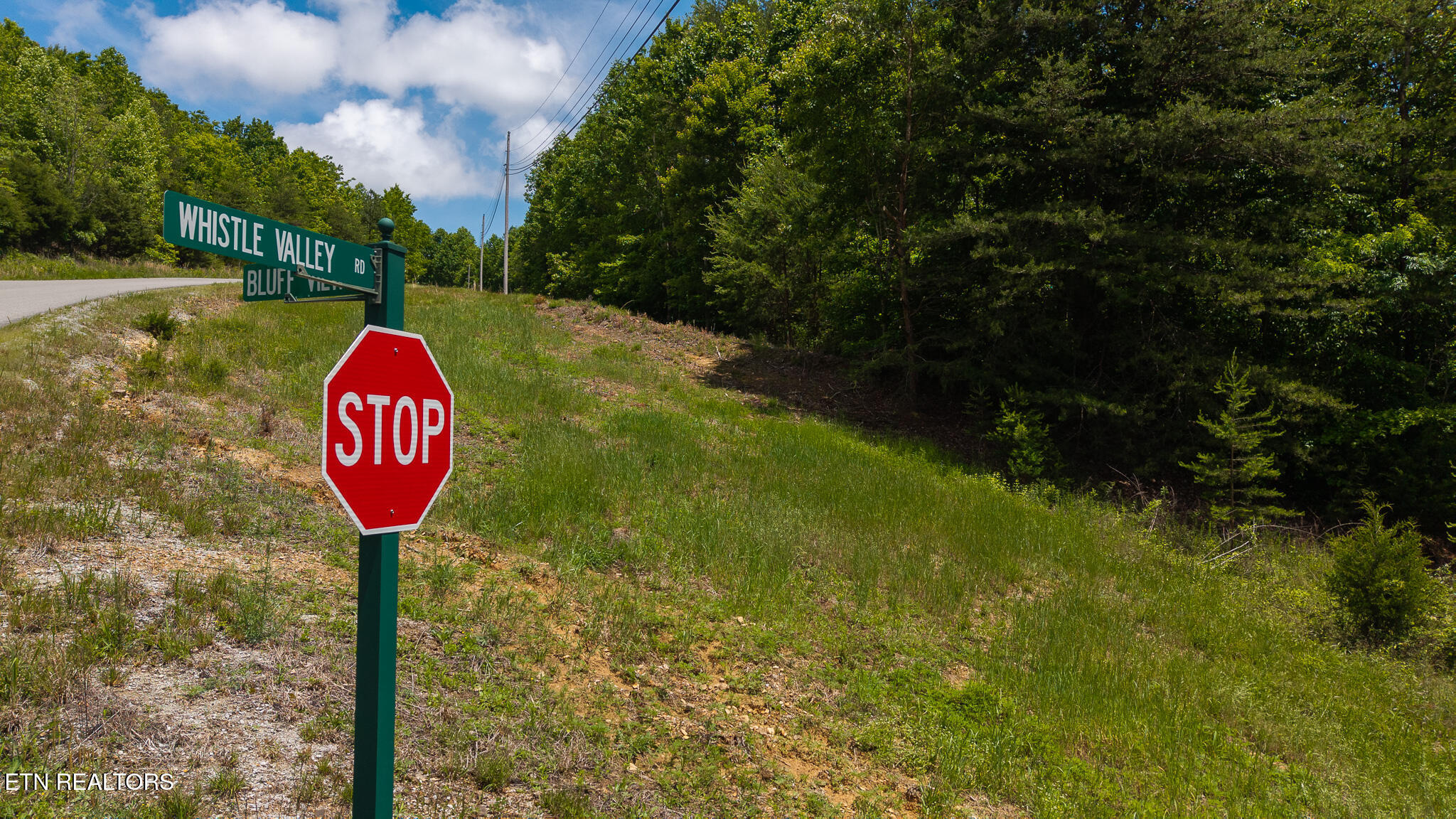 Lot 161 Whistle Valley Road New Tazewell, TN 37825 - Photo 11 of 25 DJI_20250514132816_0763_D