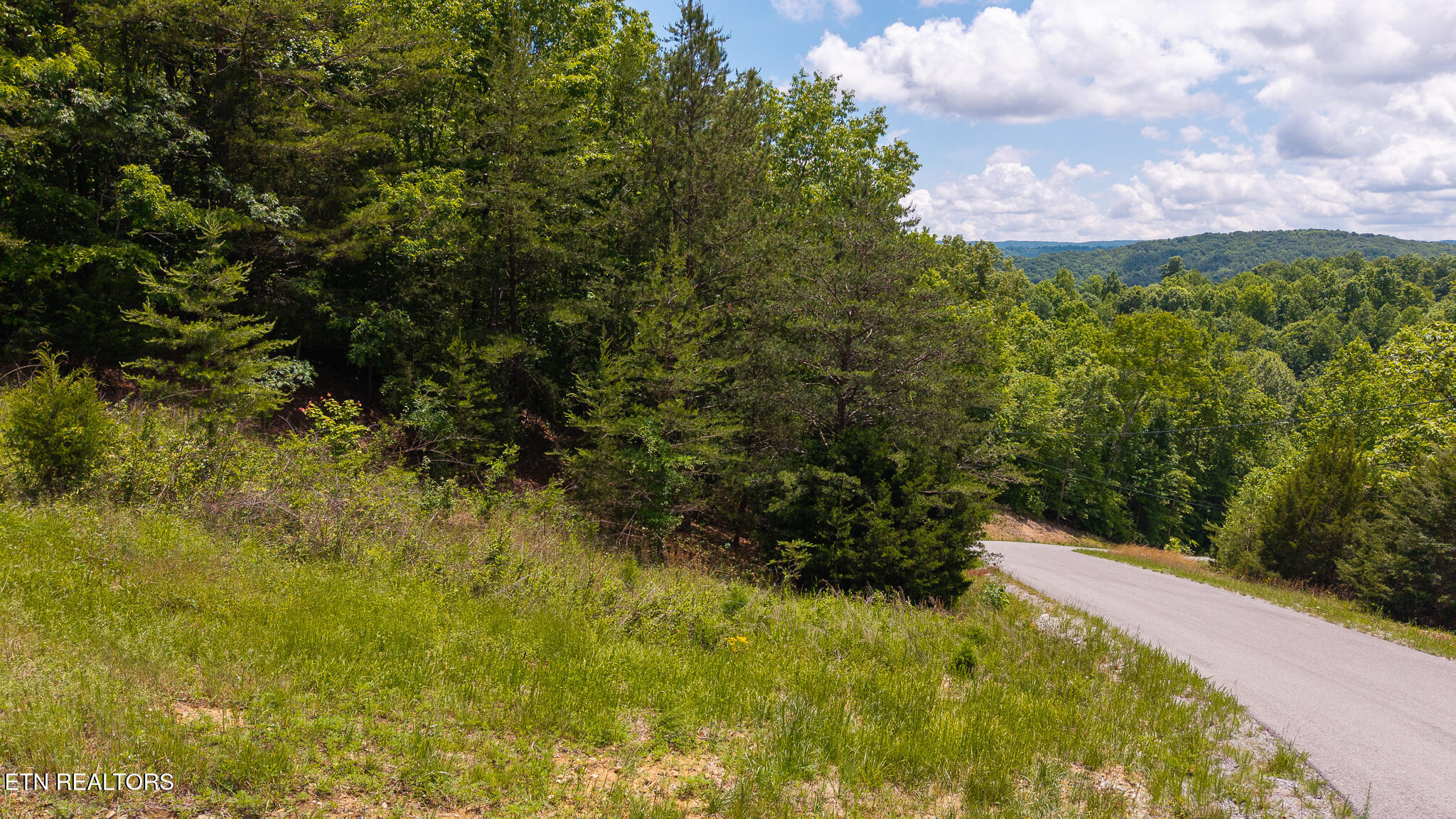 Lot 161 Whistle Valley Road New Tazewell, TN 37825 - Photo 12 of 25 DJI_20250514132826_0764_D