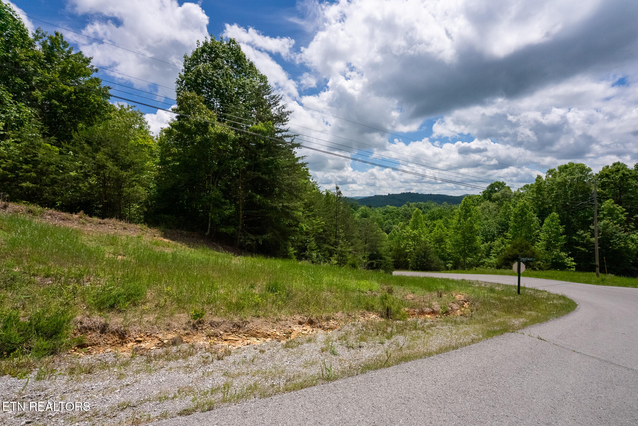 Lot 161 Whistle Valley Road New Tazewell, TN 37825 - Photo 25 of 25 DSC08109