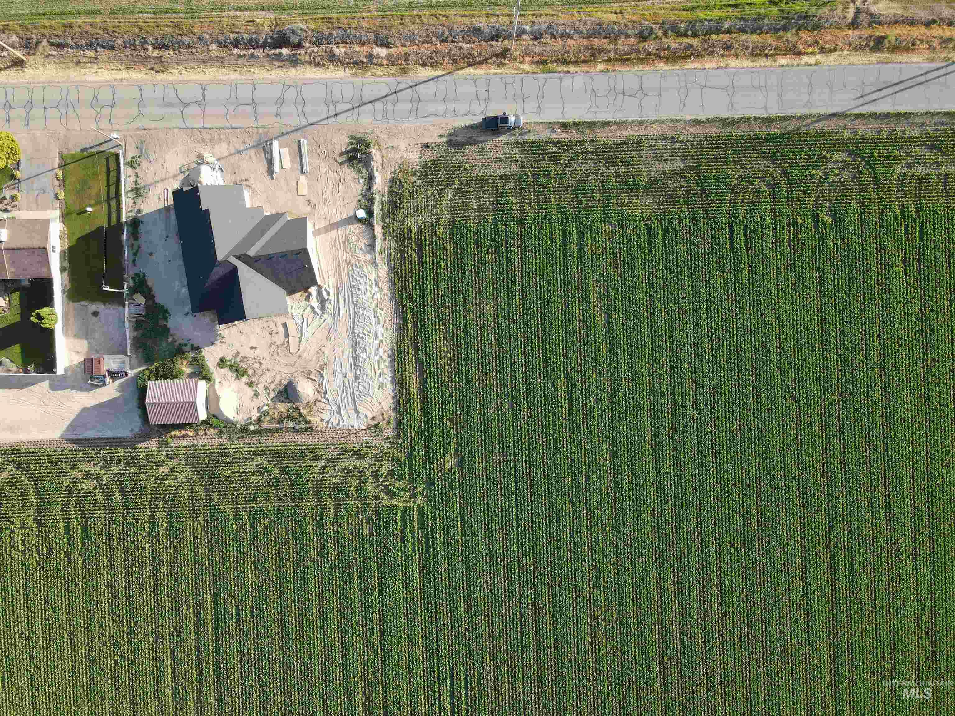 113 East 300 Road South Burley, ID 83318 - Photo 3 of 6 Property situated alongside a vast agricultural field, featuring a newly constructed residence with a dark roof and a separate accessory building