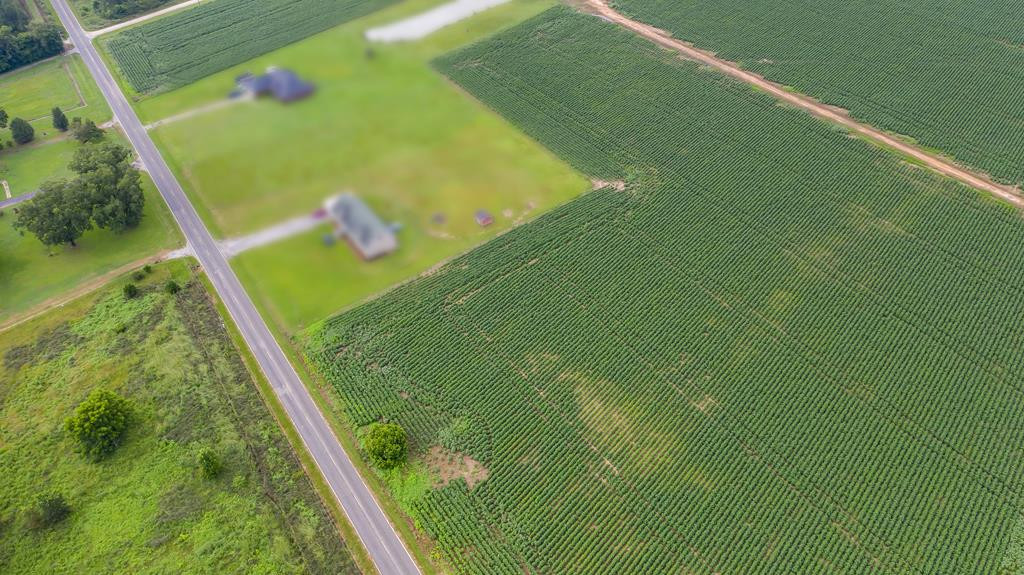 0 Lake Ashwood Road Sumter, SC 29153 - Photo 7 of 12 Gallery Image 7