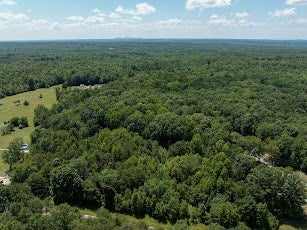 0 Trents Mill Road Cumberland, VA 23040 - Photo 3 of 3 Gallery Image 3