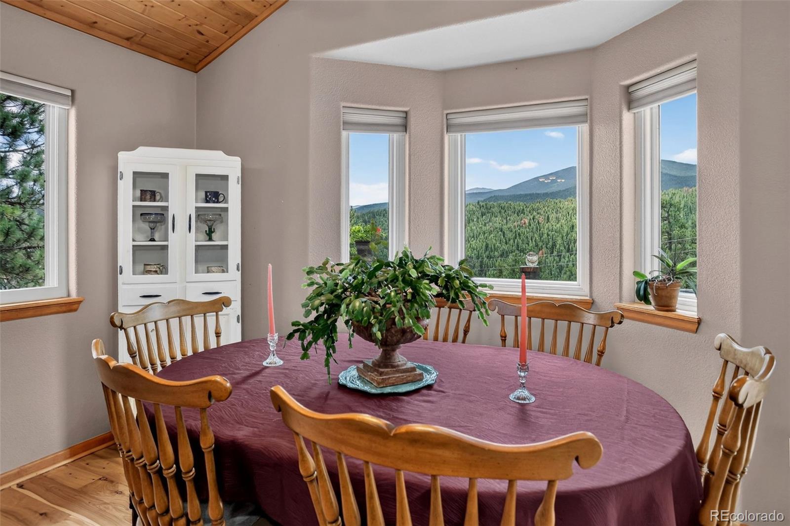 304 Virginia Road Bailey, CO 80421 - Photo 8 of 27 Gallery Image 8