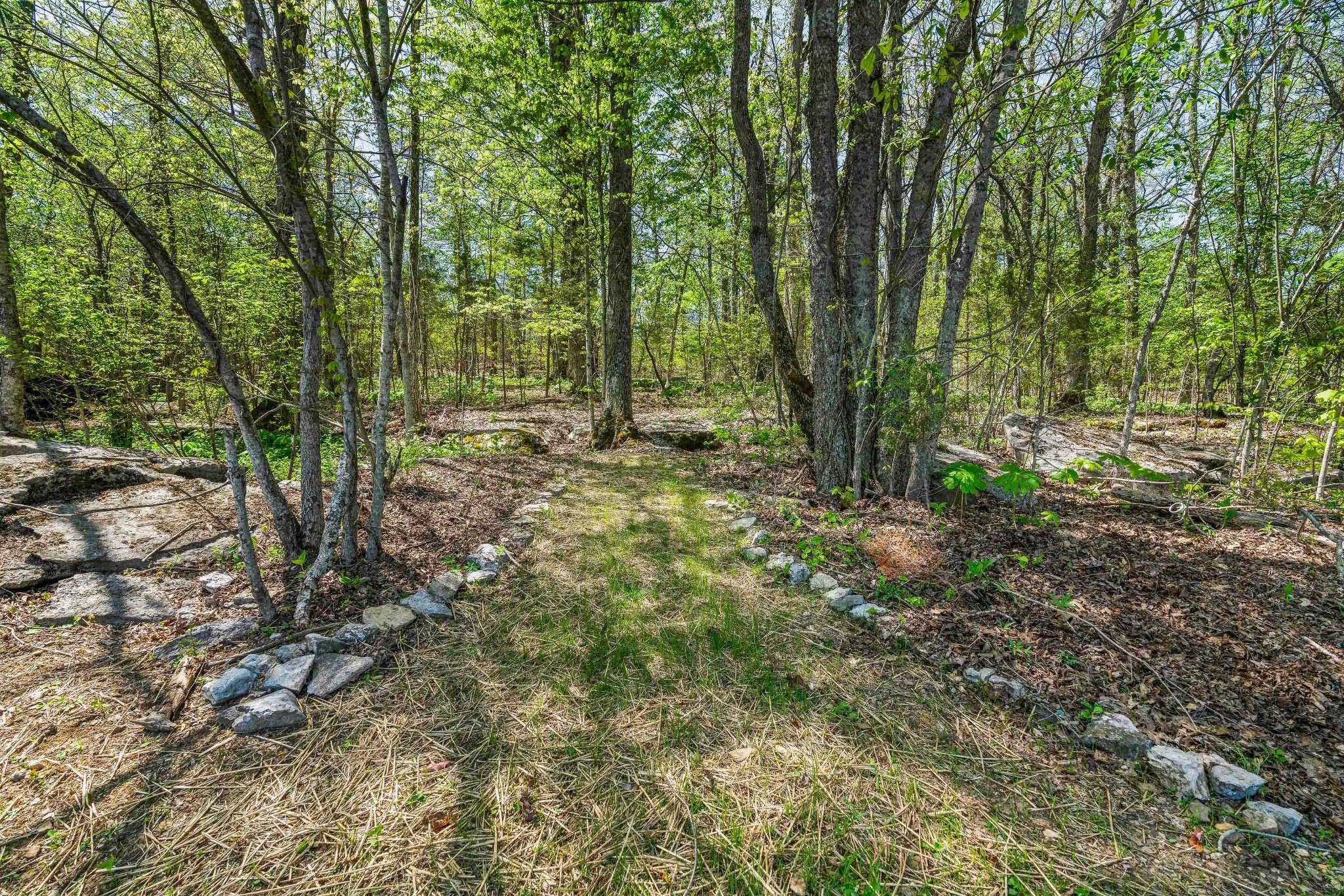165 Paschall Road Alexandria, TN 37012 - Photo 27 of 39 Gallery Image 27