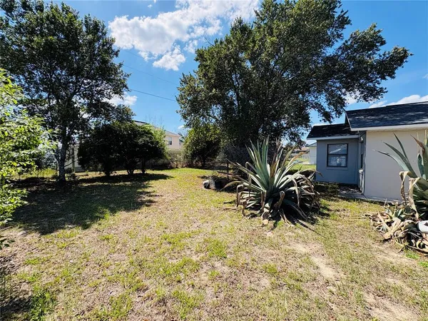 a view of a yard with plants and trees
