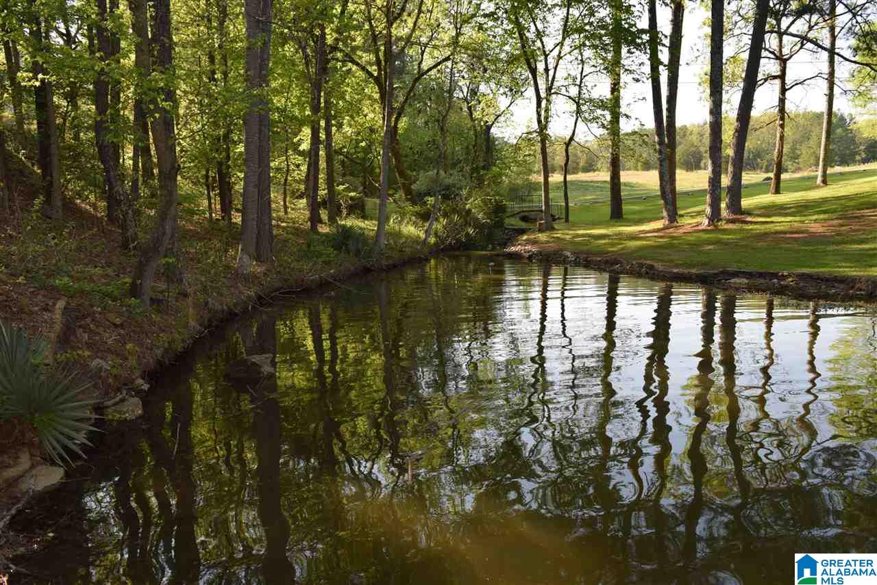 1200 Briar Cliff Road Rainbow City, AL 35906 - Photo 12 of 48