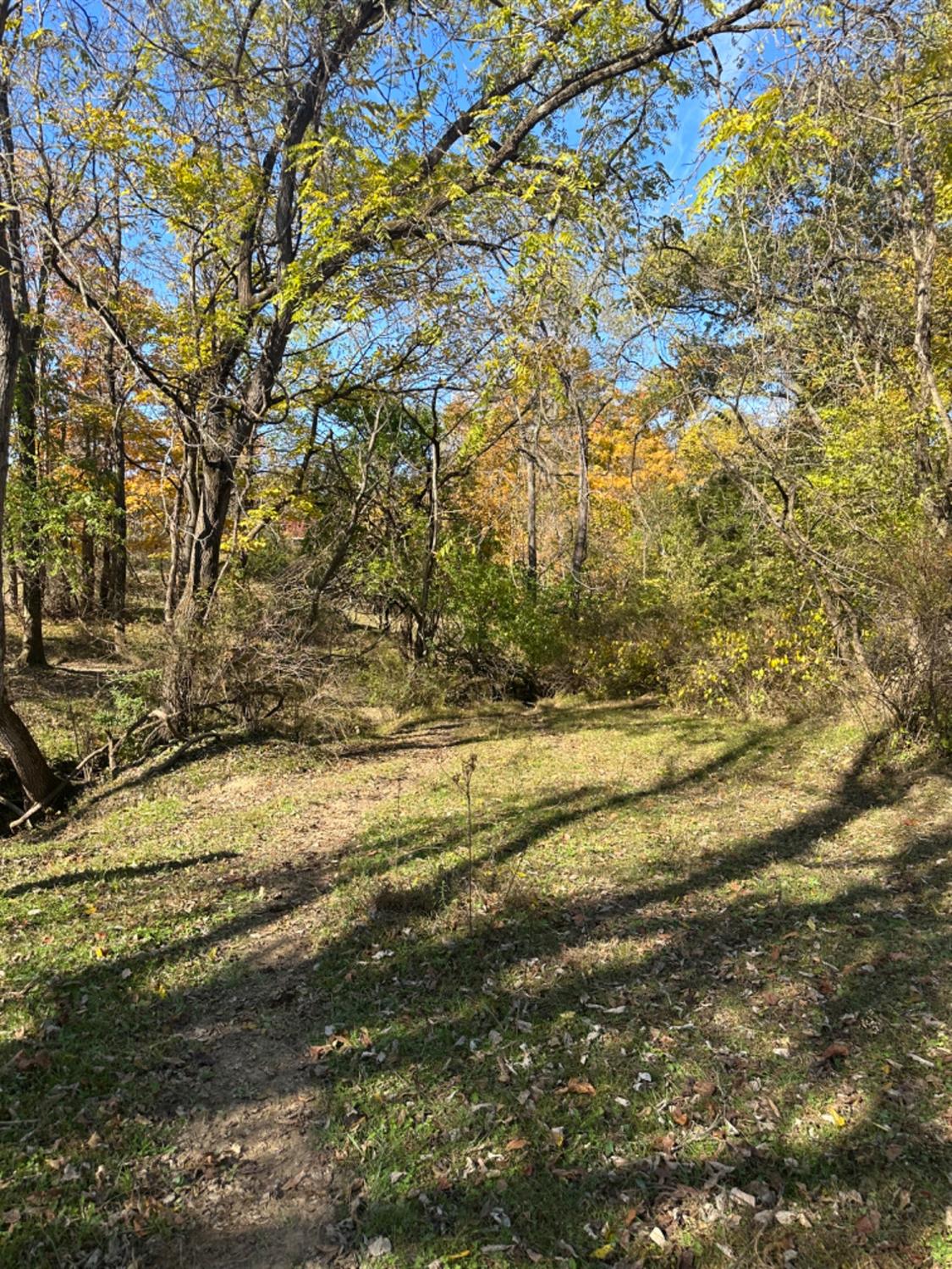 0 McGuire Ridge Road Laurel, IN 47024 - Photo 12 of 30