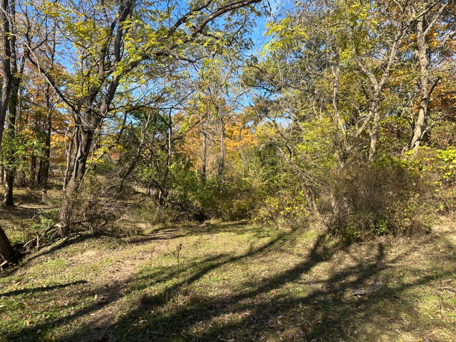 0 McGuire Ridge Road Laurel, IN 47024 - Photo 13 of 30