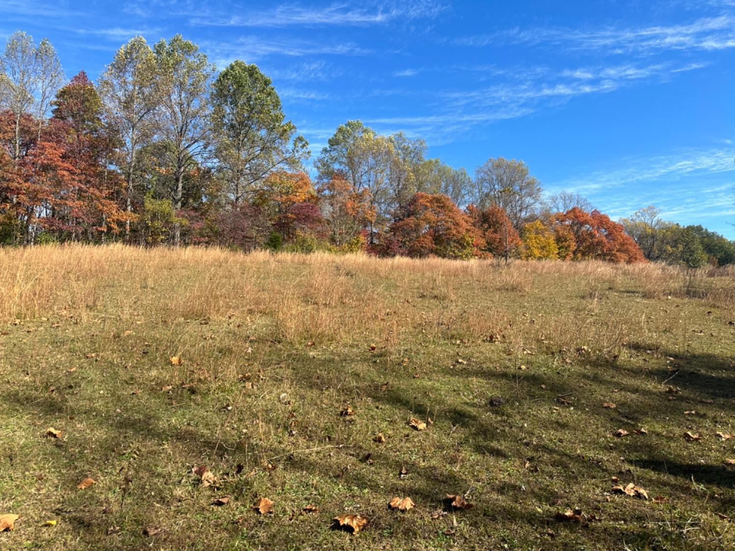 0 McGuire Ridge Road Laurel, IN 47024 - Photo 21 of 30