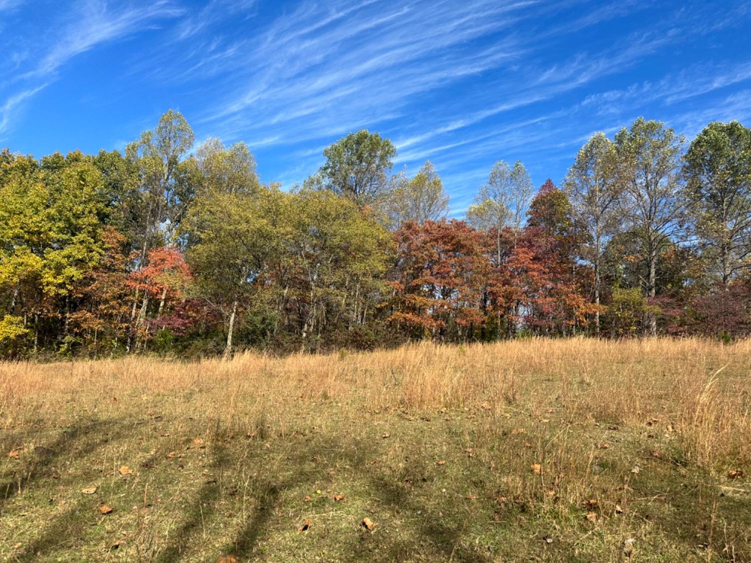0 McGuire Ridge Road Laurel, IN 47024 - Photo 23 of 30