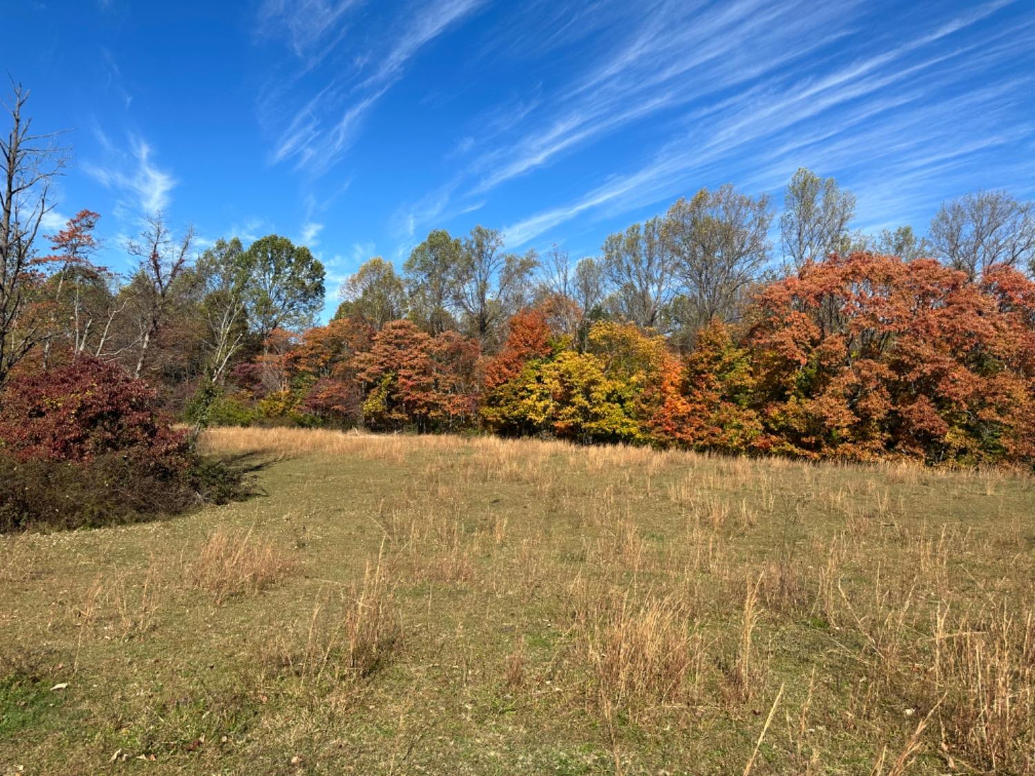 0 McGuire Ridge Road Laurel, IN 47024 - Photo 28 of 30