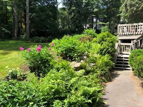 1031 Boston Post Road Sudbury, MA 01776 - Photo 5 of 36 a view of flowers in the garden