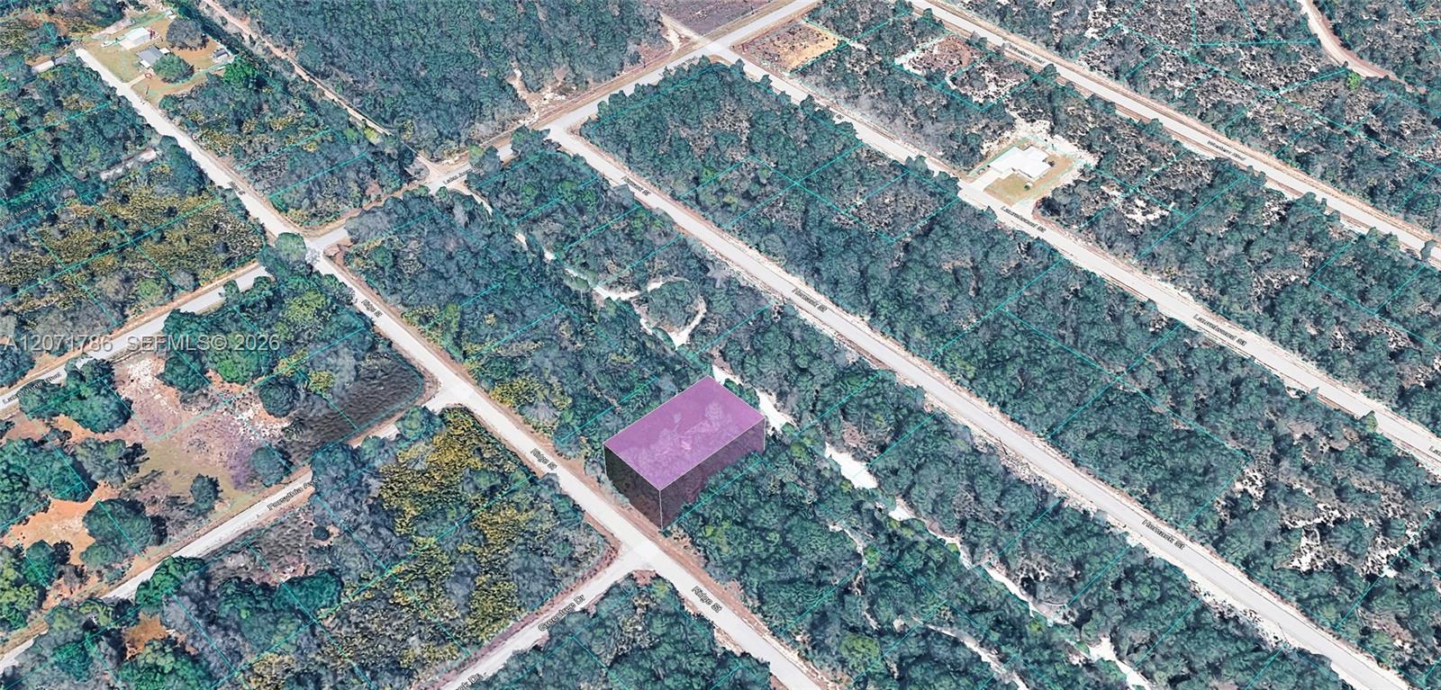 953 Ridge Street Lake Placid, FL 33852 - Photo 3 of 5 Gallery Image 3