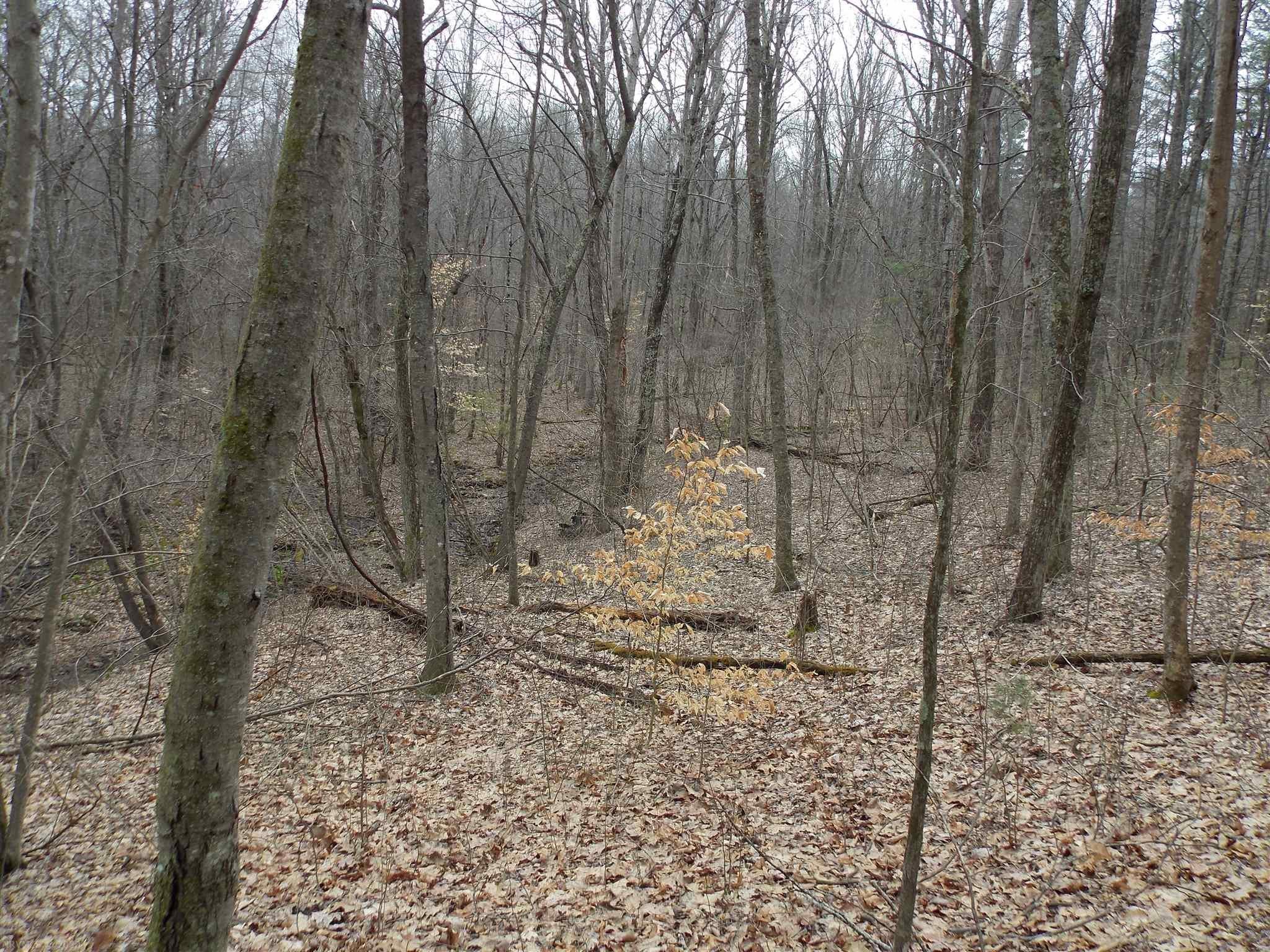 Tbd Broad Hollow Road Southeast Floyd, VA 24091 - Photo 23 of 45 Gallery Image 23