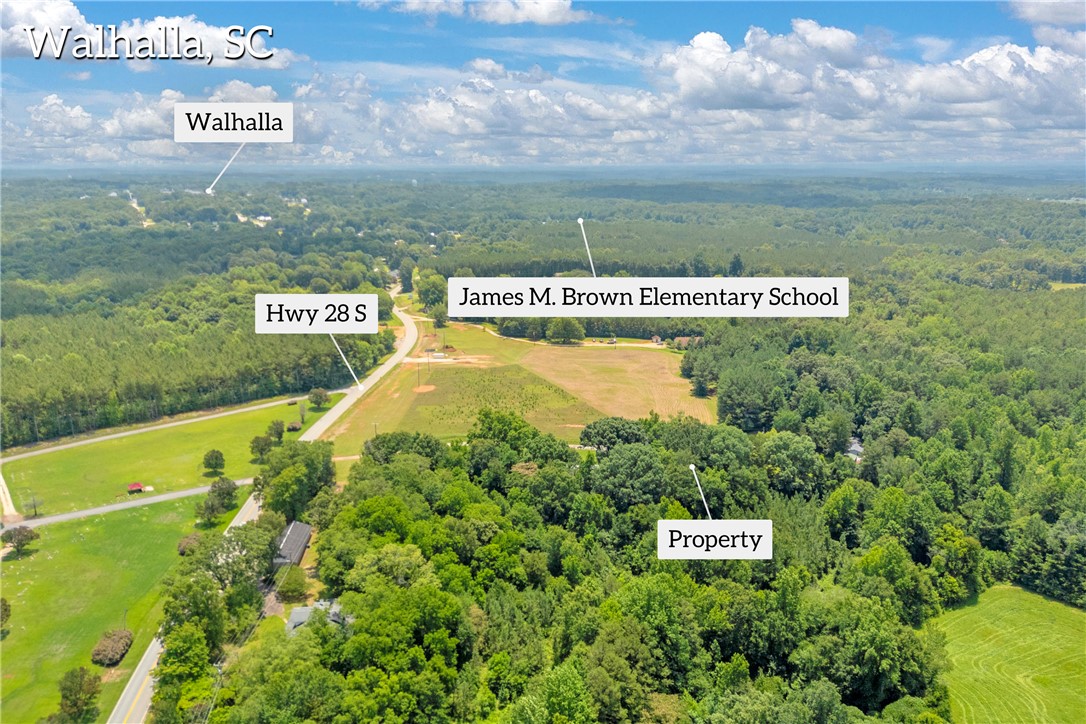 156 Newberry Road Walhalla, SC 29691 - Photo 8 of 10 An aerial perspective reveals the expansive, verdant acreage, hinting at tranquil seclusion with easy road access.