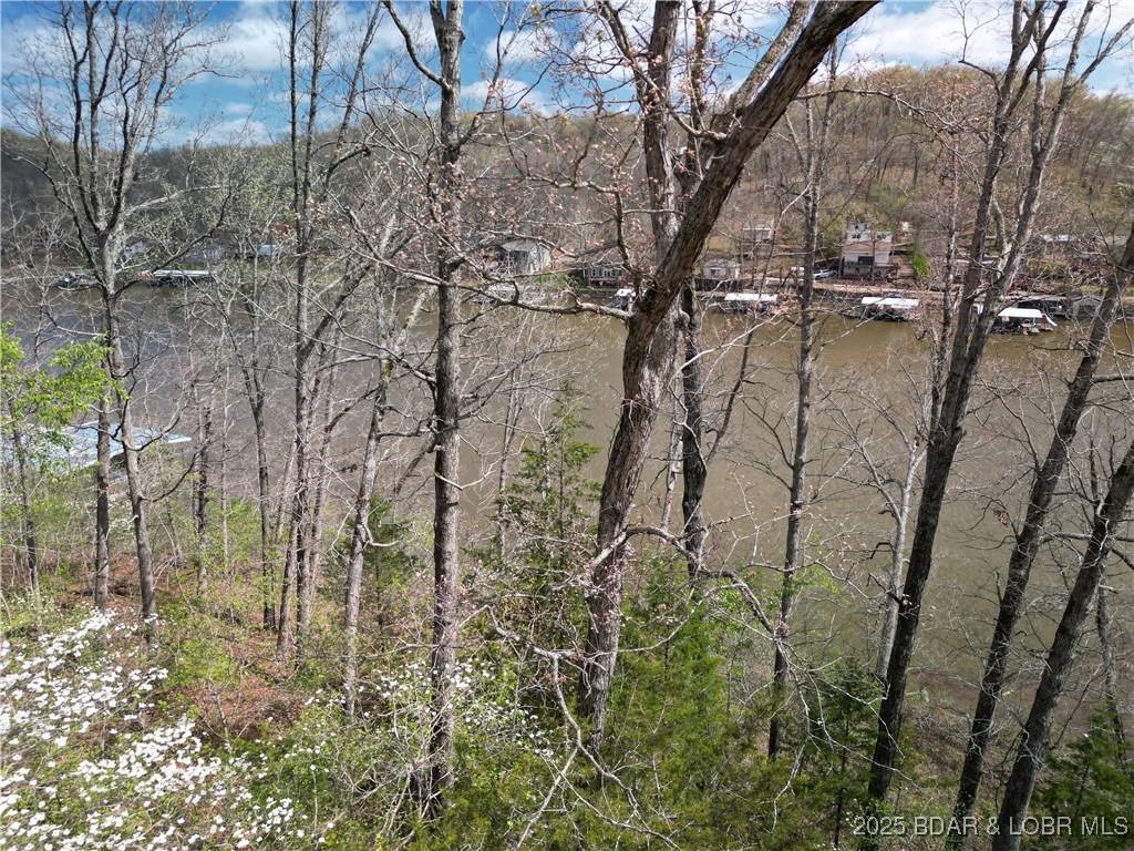 30871 Berry Road Stover, MO 65078 - Photo 12 of 19