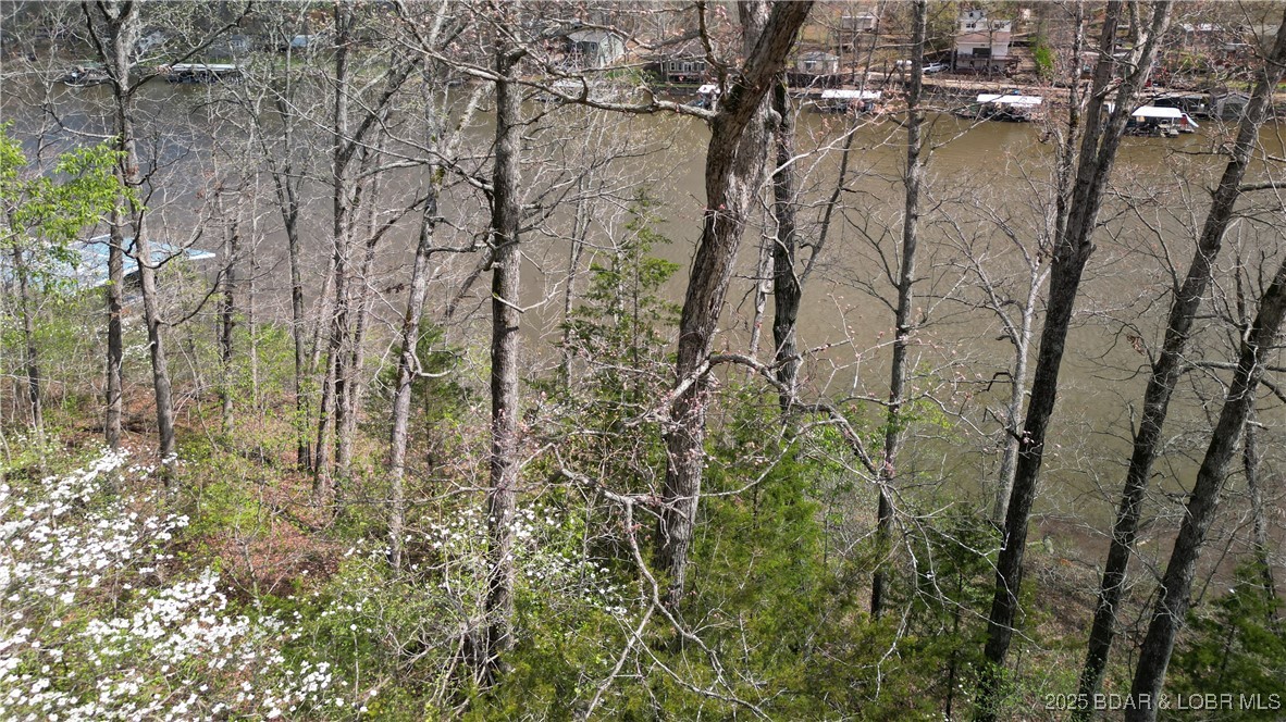 30871 Berry Road Stover, MO 65078 - Photo 6 of 19